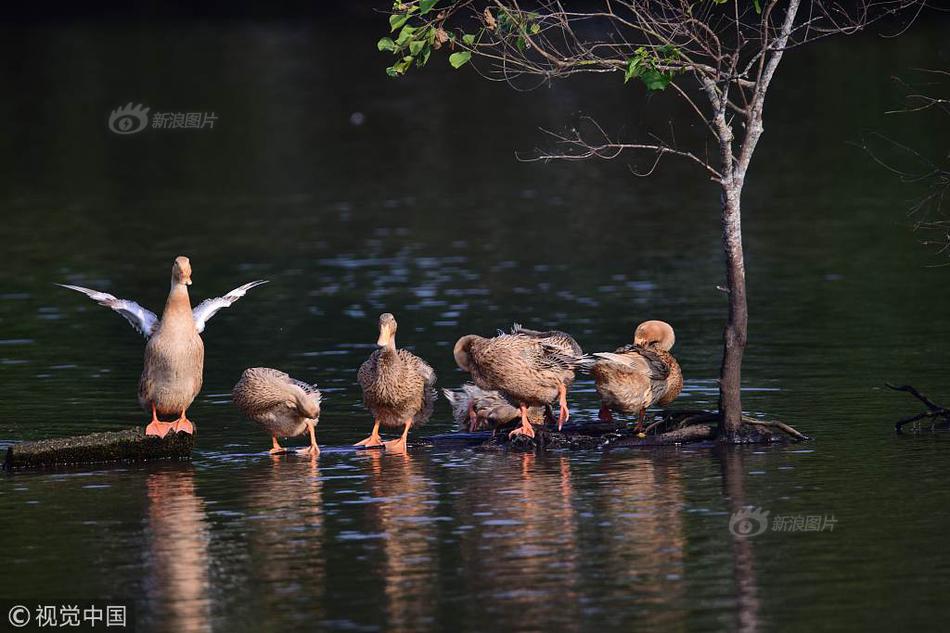 POPO文學(xué)自由小說網(wǎng)怎么進
