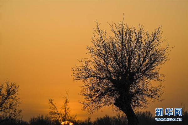 與仙共舞txt全集