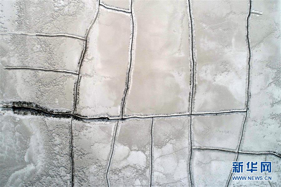 遺臣小說(shuō)by刑上香什么時(shí)候在一起