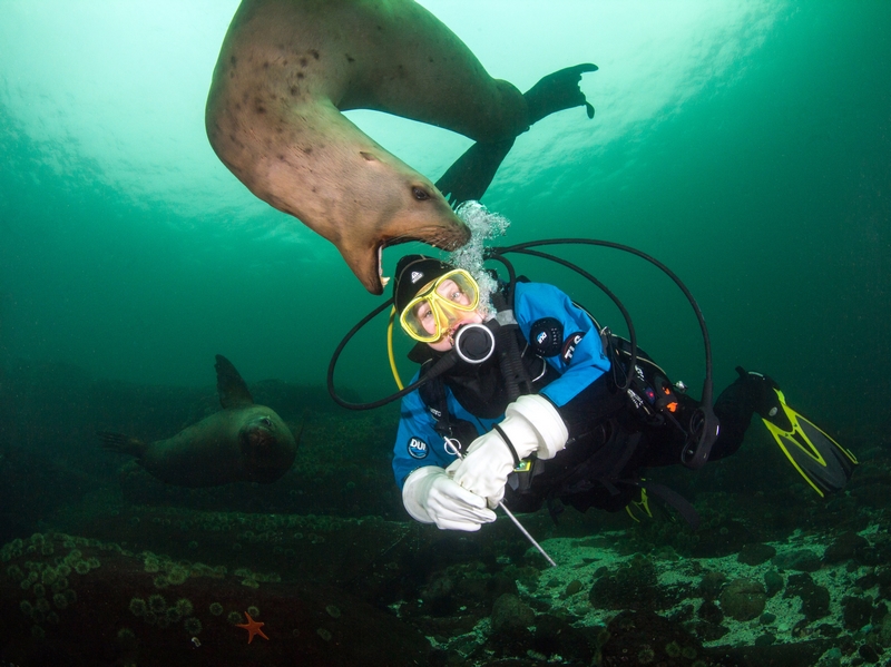 直男穿進萬人迷修羅場by汪汪薩摩椰免費閱讀全文