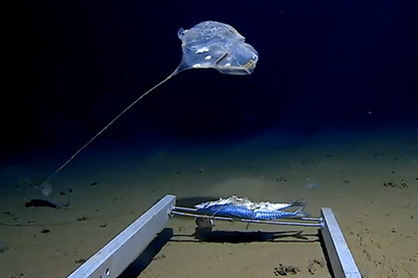 著迷(h)慕瓷沈如歸筆趣閣