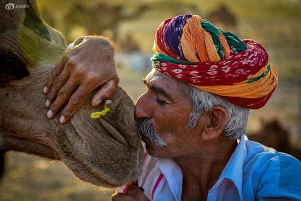 重生之將門毒后筆趣閣下載