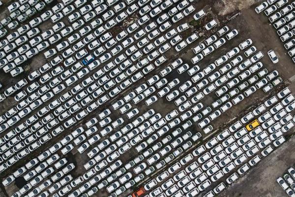 嫡兄作者青燈txt