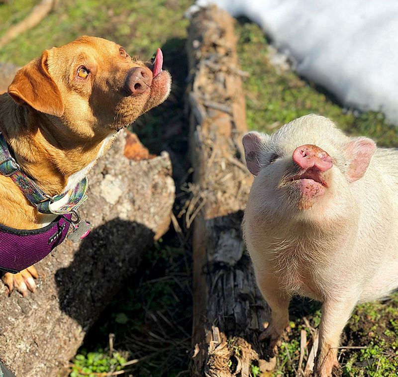 po贈我予白txt筆趣閣