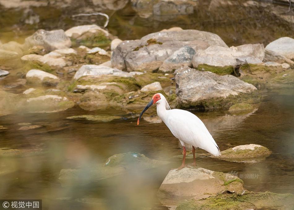 焚藍po筆趣閣在線閱讀